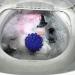 JOEBO Laundry Washing Ball Reusable Soft Spherical Cleaner Washing Machine Can Capture Long Hair /53 1 Count (Pack of 1) Bule - Buy Online on GoSupps.com