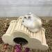 Eyksta Wooden Hamster House - Cozy Hideout with Stairs | Best Hamster Accessories (17x8.5x8.8 cm) - International Shipping Available - Buy Online on GoSupps.com