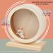GEMCAM Wooden Hamster Wheel Silent Hamster Exercise Wheel Non Slip Run Disc for Syrian Hamsters Gerbils Rat Mice Dwarf Small Chinchilla (15CM) - Buy Online on GoSupps.com