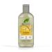 Dr Organic Vitamin E Shampoo Natural Vegan Cruelty Free Paraben & SLS Free Hydrating 265ml Vitamin E 265.00 ml (Pack of 1)
