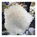 Natural Clear Quartz Cluster Minerals for PositiveStone Home Furnishing Decoration Crafts (Size : 600-650g) HOMEZHOU (Size : 300-350g)