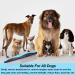 Professional Pet Comb Dogs Grooming Comb Pet Grooming Comb for Dog Cat Etc Multifunction Stainless Steel Teeth Home(Blue) - Buy Online on GoSupps.com