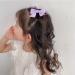OEIOTEI Bow Hair Clips 2 Pieces Hair Clip Hair Bows Girls Alligator Hair Clips Hair Accessories Small Non-Slip Fashionable Ponytail Hair Clips School Clothes (5) - Buy Online on GoSupps.com