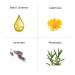 Buy Organic Pharmacy Carrot Butter Eco 50ml - Refillable Skincare for All Skin Types | International Shipping Available - Buy Online on GoSupps.com