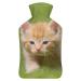 Cute Little Cat Hot Water Bottle With Cover Plush Bed Bottle Hand Warmer For Adults And Children 26.5X15.3cm