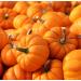Pumpkin Seed Oil Organic Cold Pressed Unrefined Natural 2 Fl Oz - Buy Online on GoSupps.com