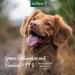 Aniforte Psyllium for Dogs & Cats 250g | High-Fiber Indian Raw Food | Supports Digestive Health & Weight Management - Buy Online on GoSupps.com