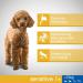 Sensitive Adult 1+ Dry Dog Food for Extra Small and Small Dogs (XS/S) with Turkey 1.4 kg (Pack of 5) - Buy Online on GoSupps.com