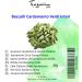200g Cardamom Whole Pods - Green Cardamom Seeds - Intense Aroma & Taste - 100% Natural Pure and No Additives - TazarinLtd - Buy Online on GoSupps.com