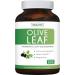 Healths Harmony Olive Leaf Extract - Super Strength Immune Support | 60 Capsules - Buy Online on GoSupps.com