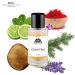 Monac - Initiio Collection - Niche Inspired Perfume - Eau de Parfum - 50 Ml 95%-99.9% similar Long Lasting 8-15 hour9Great Oud Inspired By Oud For Greatness (u)) - Buy Online on GoSupps.com