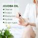 AIQIUSHA Organic Jojoba Oil 60ML - 100% Pure Cold Pressed Carrier Oil for Skin Hair Growth Frizz Control & DIY Beauty - Buy Online on GoSupps.com