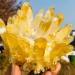 Yellow Tibetan Quartz Crystal Cluster Specimen (Size : 500-550g) - Buy Online on GoSupps.com