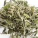 HELLOYOUNG 500g Th blanc Fuding naturel chinois Aliment vert biologique th Pu'er avec un ar me unique et charmant Th pu-erh Pu'er Tea - Buy Online on GoSupps.com