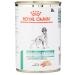 Royal Canin Veterinary Diet Wet Dog Food Diabetic Control 410 g (Pack of 1)