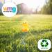 Deluxe Paws Plush Eco Toy - Cuddly Chick | 100% Recycled Materials - Buy Online on GoSupps.com