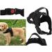 Best Dog Harness for Small Dogs | Reflective Soft Padded Adjustable & Anti-Train - Perfect for Running & Safety - Buy Online on GoSupps.com