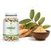 Antler Farms 100% Pure Tongkat Ali Extract 200:1 | 180 Vegan Capsules for Men's Health | Gluten Soy & Dairy Free - Buy Online on GoSupps.com