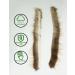 3 Archers 2pc Beaver Balls String Silencer for Bow - Reduce Vibration & Noise - Buy Online on GoSupps.com