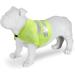 Regatta Reflective Dog Vest RDE013 Yellow 1 Count (Pack of 1) - Buy Online on GoSupps.com