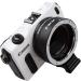 EF-EOS M Auto-Focus Lens Adapter for Canon EF/EF-S Lens to EOS-M Camera - Buy Online on GoSupps.com