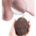 Elaj Pumice Stone Feet Scrubber - Natural Earth Lava Rock Foot Callus Remover for Smooth and Soft Feet  Exfoliates Dry  Cracked Heels & Skin  Promotes Foot Care Health  Designed for Women (Lava Rock)