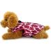 Waterproof Dog Jacket & Coat for Small Pets - Smalllee Lucky Store | Winter Wear for Chihuahua & Shih Tzu - Magenta - Buy Online on GoSupps.com