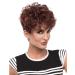 Fashion women sexy full wig short curly wig styling cool wig Short Curly Ladies Curly Wig
