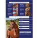 Collegiate ComFiTec Patent Snaffle Bridle - Brown Cob | Premium Quality Equestrian Gear for International Shipping - Buy Online on GoSupps.com