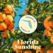 Florida Sunshine Liposomal Vitamin C 500mg - 120 Capsules | Optimized Absorption | Immune Support | Antioxidant Protection | Skin Care & Vitality - Buy Online on GoSupps.com
