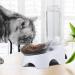 MILIFUN Double Dog Cat Bowls - Tilted Water Food Bowl Set with Automatic Waterer Bottle - Buy Online on GoSupps.com