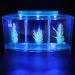 Aquarium Fish Tank Transparent Aquarium Fish Tank LED Acrylic Three Divisions Breeding Isolation Box for Small Fishes Mini Breeding Fish Tank (Blue) - Buy Online on GoSupps.com