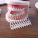 160 Pieces Double-Ended Interdental Brushes | Soft Silicone Toothsticks for Effective Teeth Cleaning - Green - Buy Online on GoSupps.com