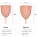 Saalt Soft Menstrual Cup - Sensitive & Reusable Period Cup - 12 Hour Wear - Desert Blush Regular - Buy Online on GoSupps.com