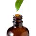 100ml Natural Comfrey Oil for Bone Fractures, Wounds, Joint Pain Relief | Symphytum Officinale Ingredients - Buy Online on GoSupps.com