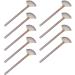 Soft Facial Applicator Brushes Champagne Facial Fan Mask Brushes for Everyday Use - Buy Online on GoSupps.com