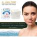Nablus Olive Oil Soap - 100% Natural and Handmade (1 count) - Buy Online on GoSupps.com