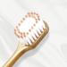 Upgraded Adult Wide Head Manual Toothbrush Set - 6 Pieces for All-Round Teeth & Gum Care - Buy Online on GoSupps.com