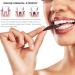 Koheel Chewing Tools for Adults | Prevent Gum Issues Loose Teeth & Misalignment | Sensory Oral Exercises - 1 Pack - Buy Online on GoSupps.com