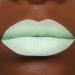 Buy Jeffree Star Velour Liquid Lipstick in High Society - International Shipping Available - Buy Online on GoSupps.com