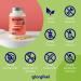 High Dose Vitamin B Complex | 200 Vegan Capsules | 10-Fold Dosage | All 8 B Vitamins | Bio-Active Forms | 500 g B12 | Lab Tested | Vegan | Made in Germany - Buy Online on GoSupps.com