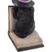 Buy Colorful Witch Cat Bookends - Perfect for Book Lovers & Halloween Decor | International Shipping Available - Buy Online on GoSupps.com