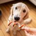 8in1 Delights Chicken Kau-Spiralen - Healthy Dog Chews High-Quality Chicken & Beef 12 Pieces (1 Pack) - Ideal Kausnack for Dogs - Buy Online on GoSupps.com