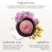 True Botanicals Moisture Lock Glossy Lip Balm - Non-Toxic Organic Cruelty-Free Hydration with Hyaluronic Acid for Dry & Aging Lips - MADE Safe Original/Clear - Buy Online on GoSupps.com