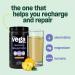 Vega Sport Post-Workout Recovery Accelerator Apple Berry (20 Servings) Vegan Non Dairy Gluten Free BCAAs 540g (Packaging May Vary) Apple Berry 20 Servings (Pack of 1) - Buy Online on GoSupps.com