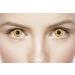 Golden Vampire Contact Lens - 1 Day Use | Shop Internationally for Unique Halloween Eyes - Buy Online on GoSupps.com