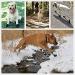 Huatek Waterproof Dog Boots - Anti-Slip Outdoor Shoes for Medium Dogs (Size 4) - Reflective Straps - 4 Pcs Black - Buy Online on GoSupps.com