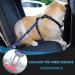 Buy Slowton 2-in-1 Dog Car Seat Belt | Adjustable & Reflective Headrest Retention | Universal Buckle | G.Hellblau - 2PCS - Buy Online on GoSupps.com