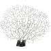QUETHEDS Faux Coral D cor Artificial Coral Branch D cor Sea Fan Coral Decorations Aquariums Ornament Fish Tanks Landscape Sea Fan Coral Decorations Black Small - Buy Online on GoSupps.com