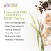 Buy Aura Cacia Organic Rosemary Essential Oil - Premium Quality for Aromatherapy & Natural Remedies | International Shipping Available - Buy Online on GoSupps.com